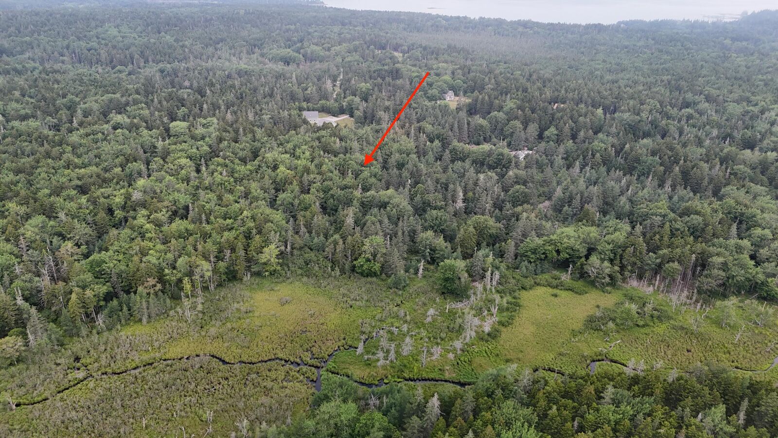 Property Photo: 36 Lemoine (Map 12 Lot 36) Road ME 04685