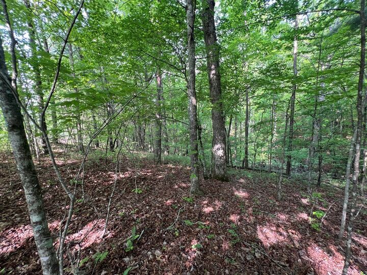 Property Photo:  9 + Acre Leonard Lane  NC 28906 