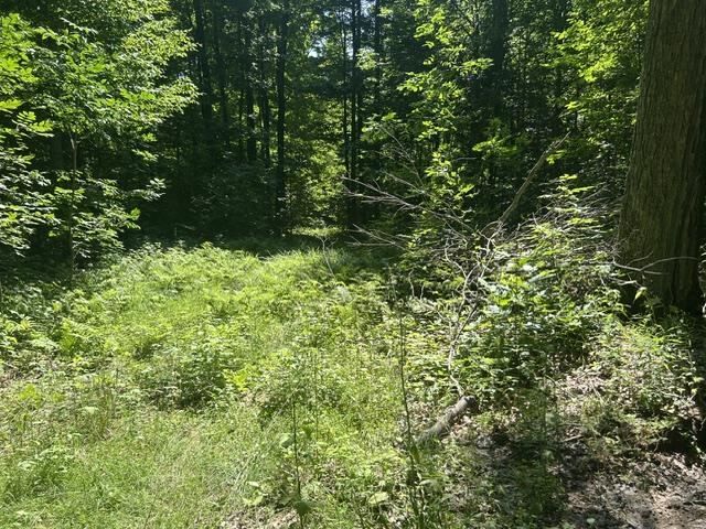 Property Photo: V/A Teal MI 49769