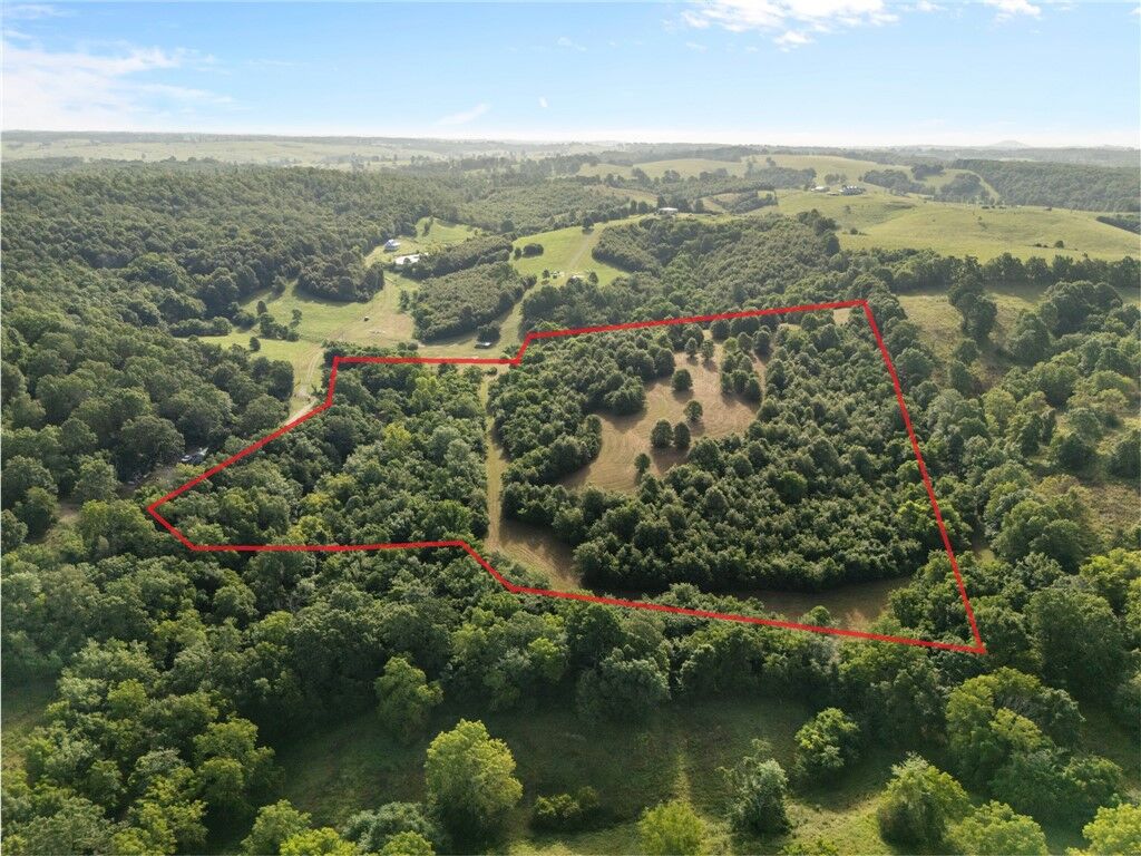 Property Photo:  Tbd (24 Acres) Donkey Trail  AR 72633 
