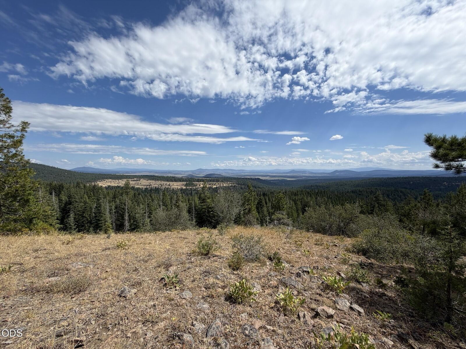 Property Photo:  0 Walrus Lane 388501  OR 97623 