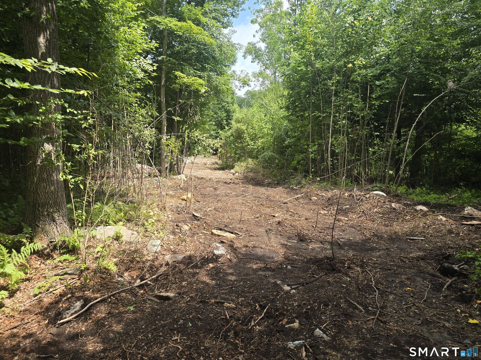 Property Photo:  Al Harvey Road  CT 06378 