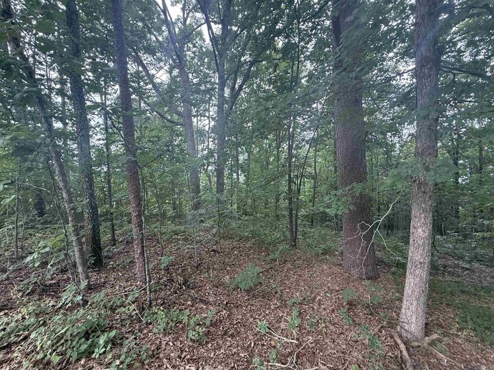Property Photo:  Pine Drive  AR 72543-7790 