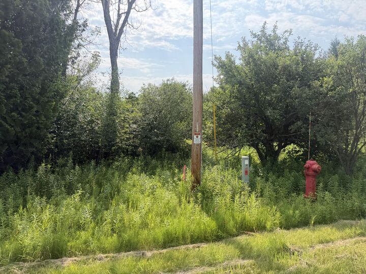 Property Photo: Tbd 10 Curves Rd MI 49836