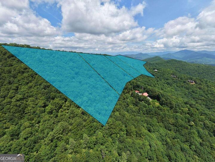 Property Photo:  34 Ac Caesar Gap Road A-G  GA 30546 