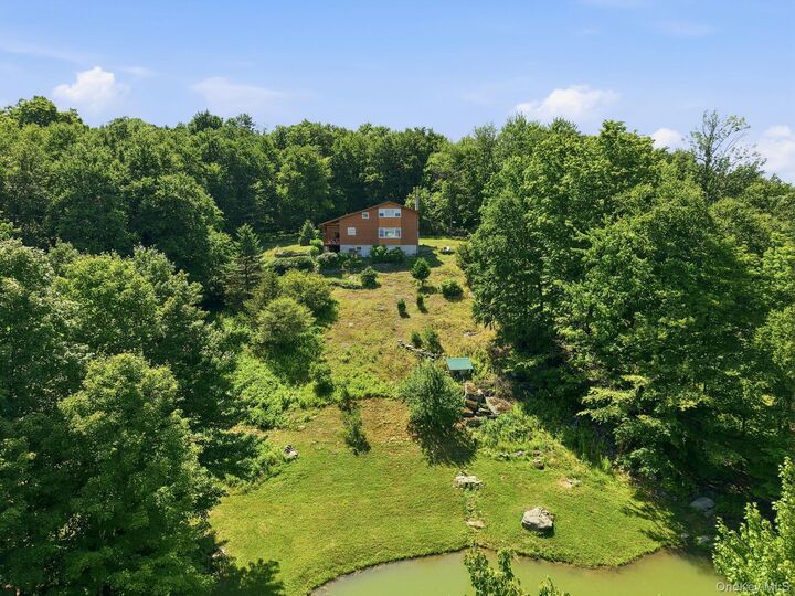 Property Photo:  155 Messenger Road  NY 12740 
