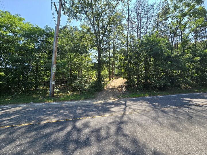 Property Photo:  Manor Yaphank Road  NY 11949 