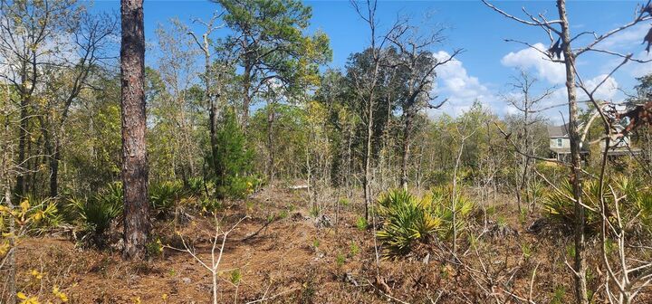 Property Photo: 18043 Ramsey Road FL 34614