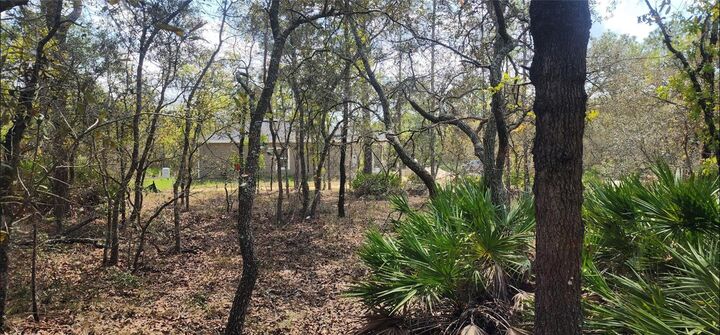 Property Photo:  18106 Parakeet Road  FL 34614 