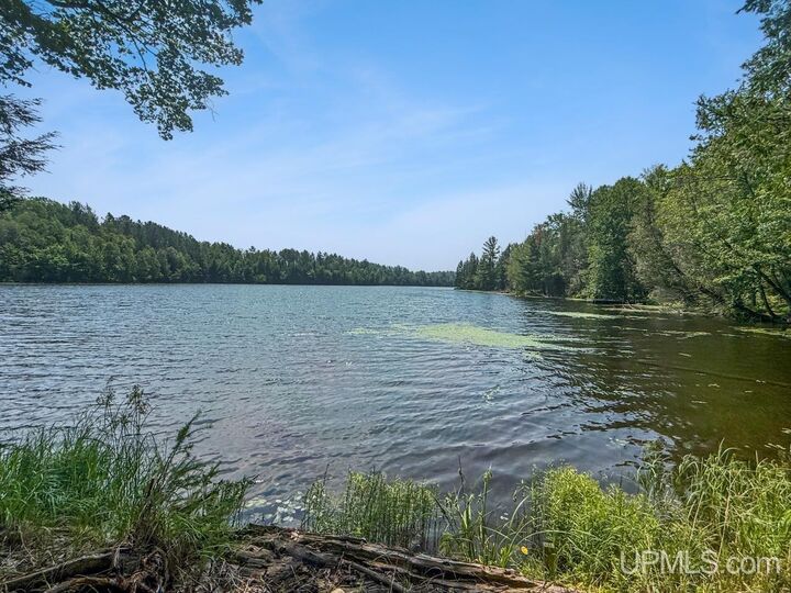 Property Photo:  489 Kalla Walla Trail  MI 49920 