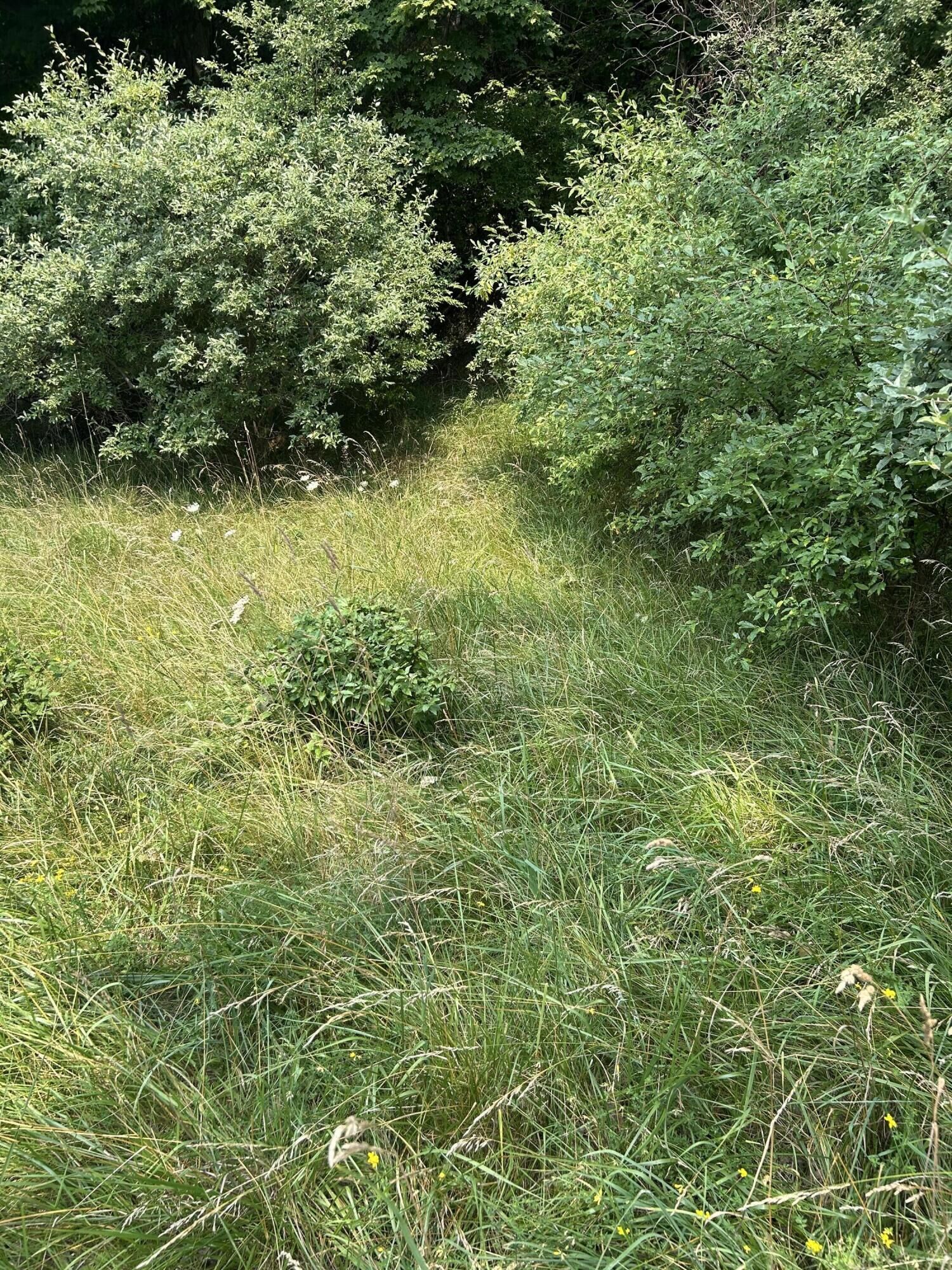 Property Photo:  Lots 5, 6 Longebridge West  MI 49449 