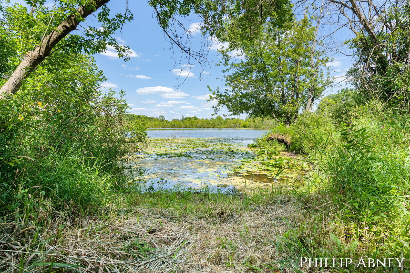 Property Photo:  12842 W Hillis Road  MI 49347 
