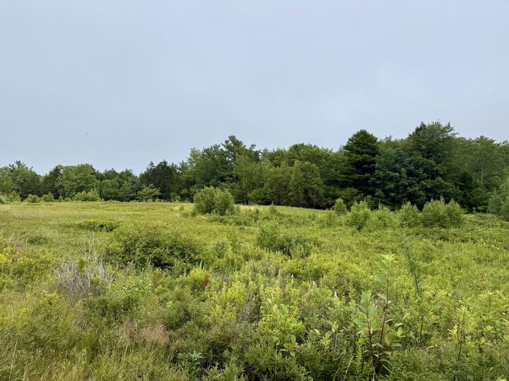 Property Photo:  Lot 35 Guzzle Road  ME 04607 