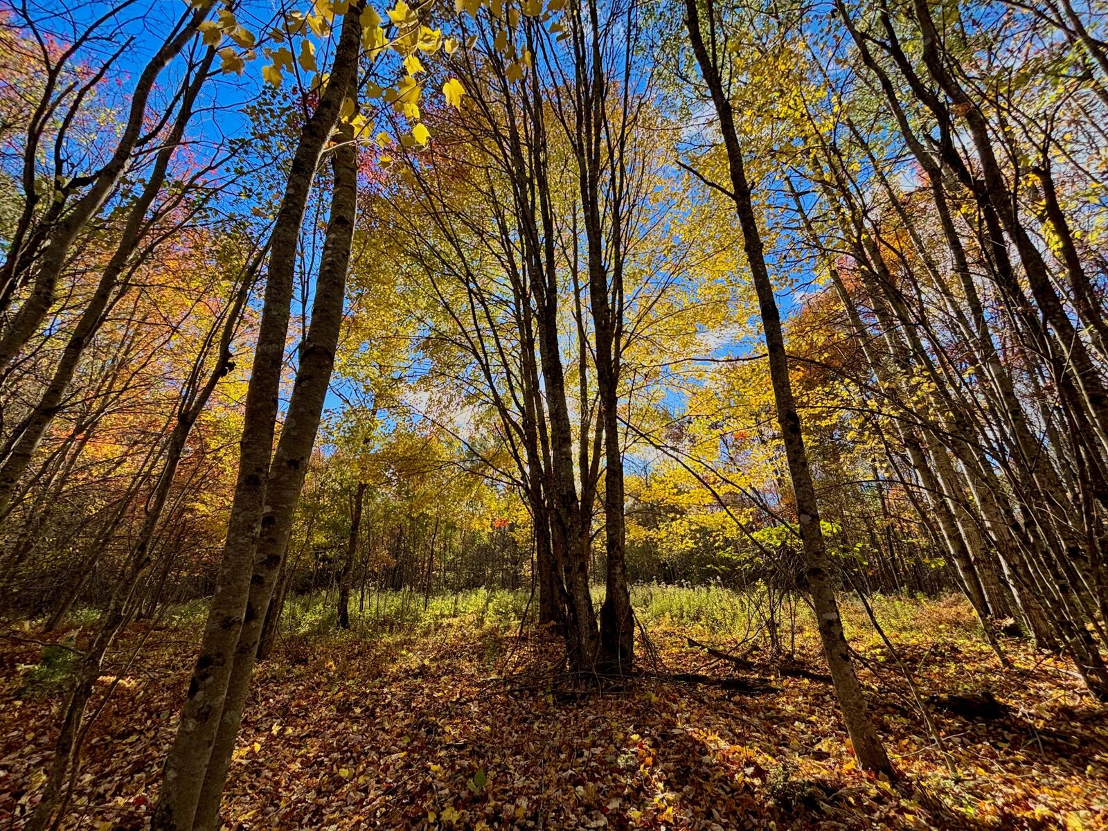Property Photo:  4 N Horse Back Road  ME 04922 