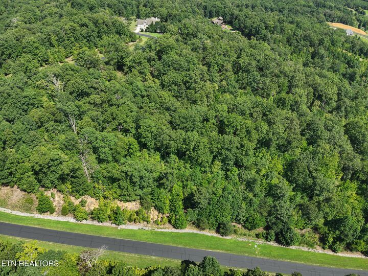 Property Photo:  393 W Mountain Drive  TN 37854 