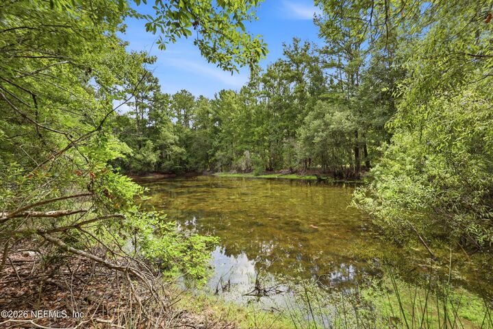 Property Photo: 143 Pine Tree Road FL 32177