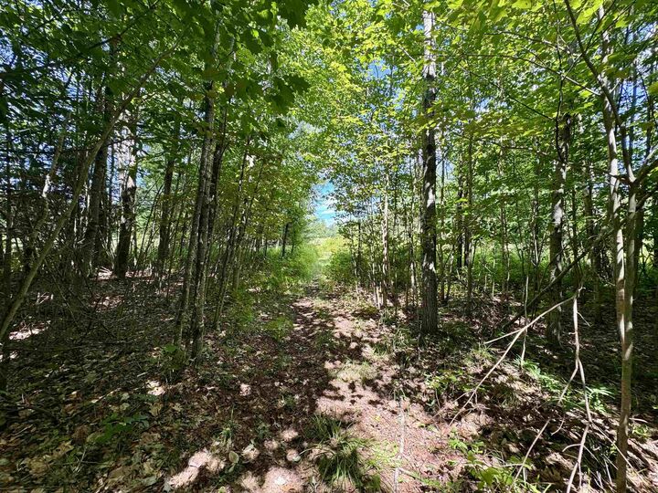 Property Photo:  0 Cemetery Road  NH 03765 