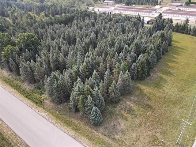 Property Photo:  Parcel A Danbury Road  MI 49649 