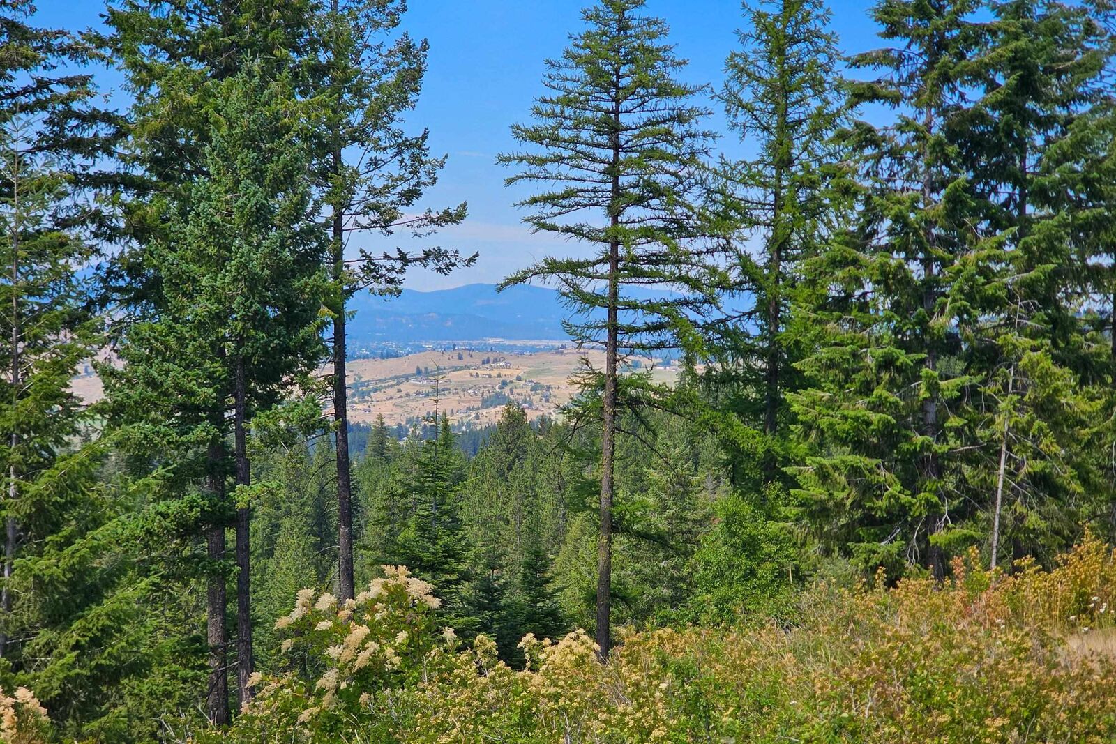Property Photo:  Nka E Belmont Rd  WA 99023 