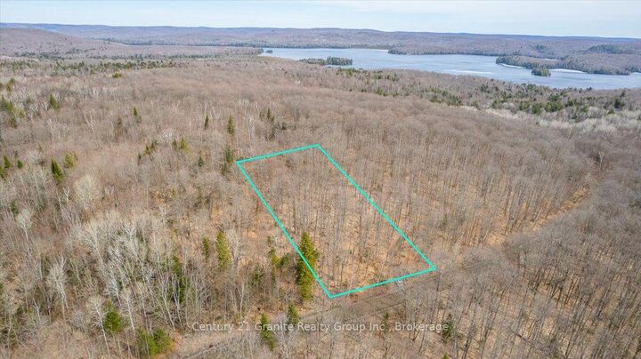 99 Forest View Road — photo 1