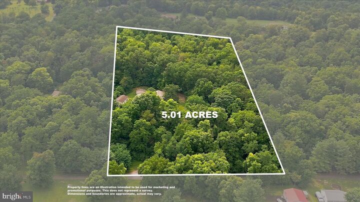 Property Photo:  151 Sassafras Lane  VA 22624 