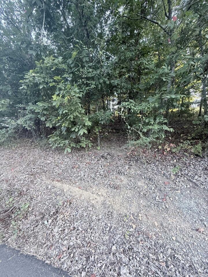 Property Photo:  Lot 10 Ridge  AR 72106 