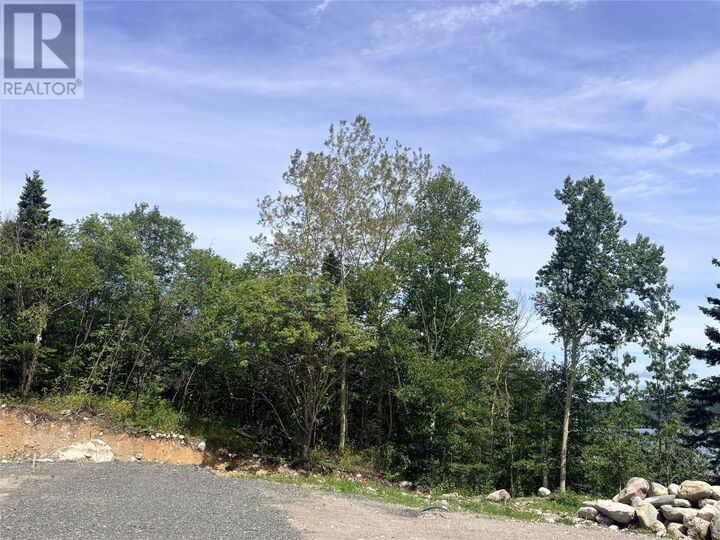 Property Photo:  4 Strong's Road  NL A5A 1X7 