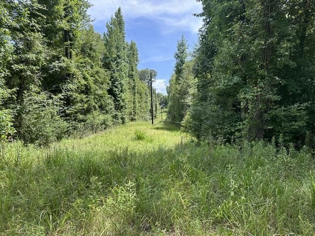 Property Photo:  5078 E US Highway 79   75652 