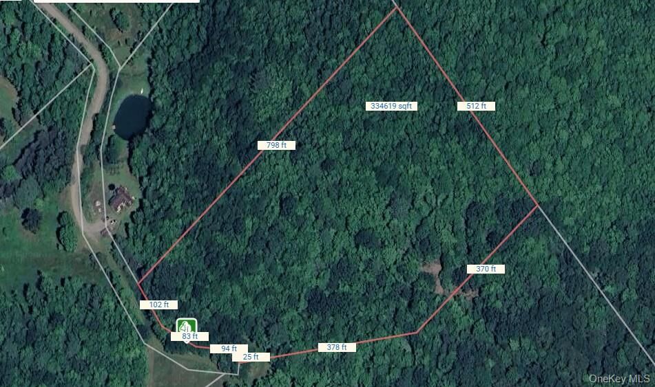 Property Photo:  Lot 29.4 Sunset Trail  NY 13775 