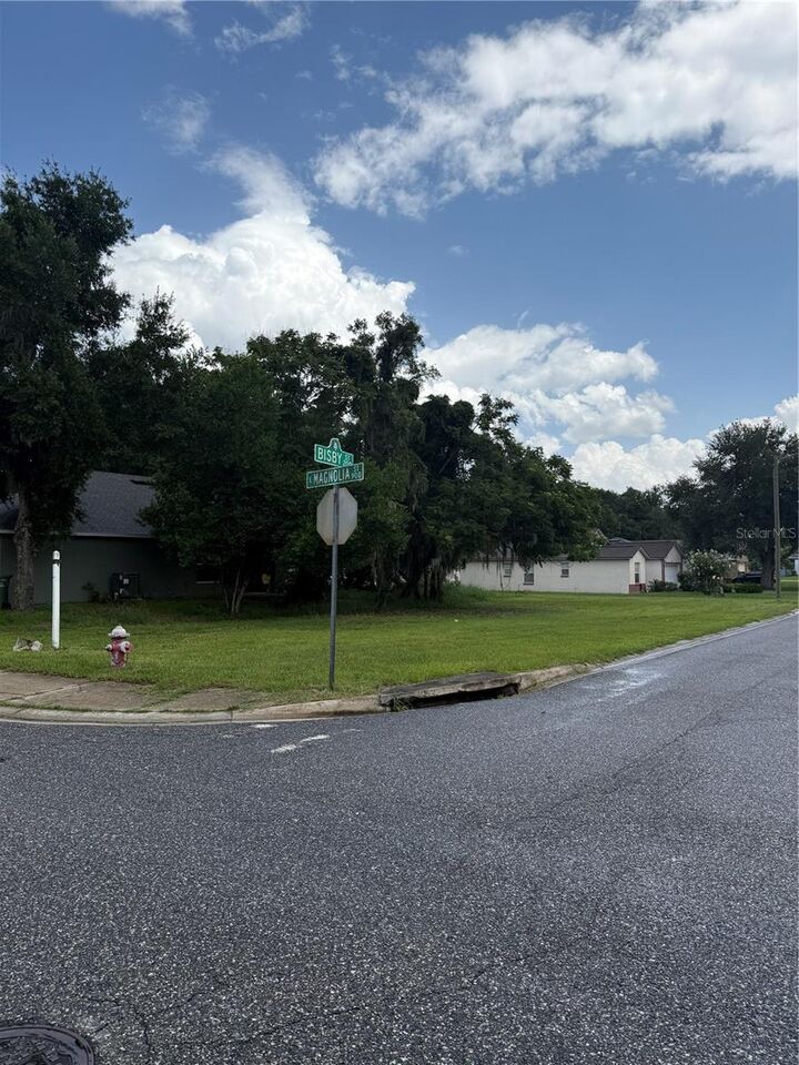 Property Photo:  Magnolia Street  FL 34748 