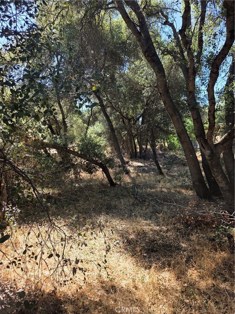 Property Photo:  13692 Fair Oak  CA 95424 