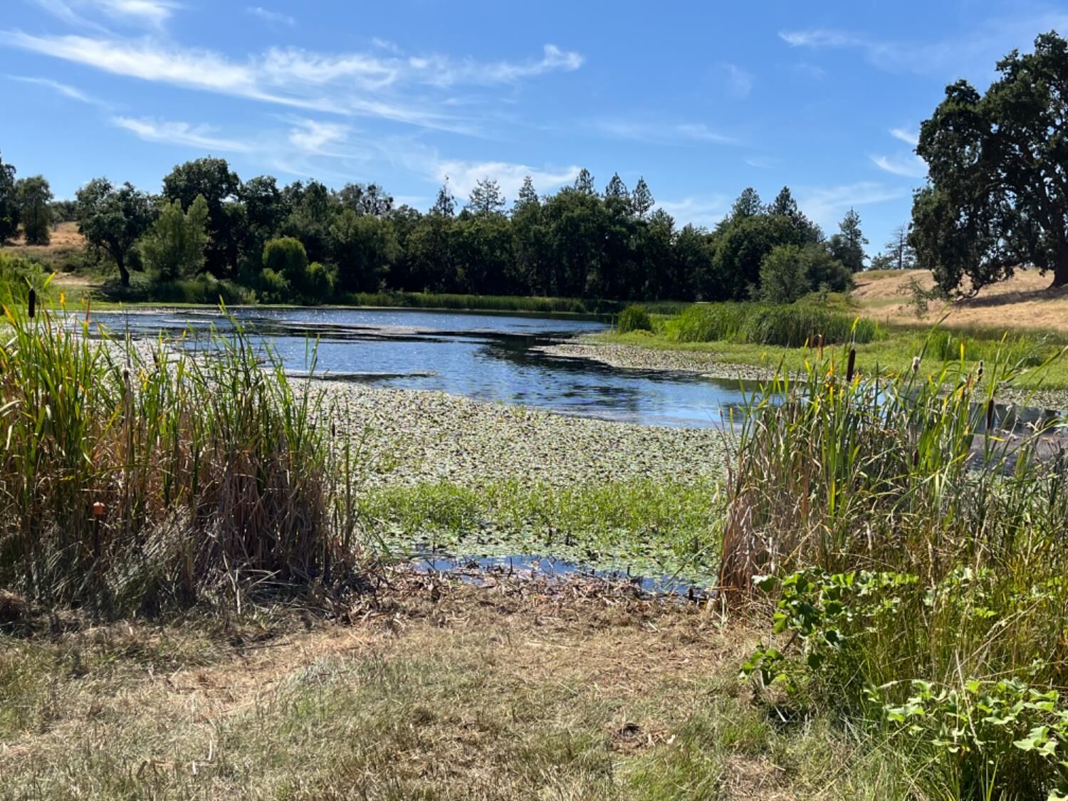 Property Photo:  13555 Oakstream Road  CA 95669 