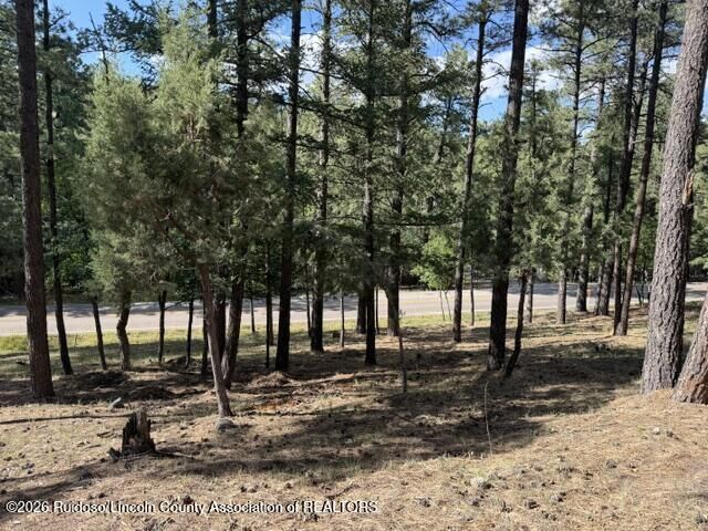 Property Photo:  Lot 62 Fort Stanton Rd. 4  NM 88312 
