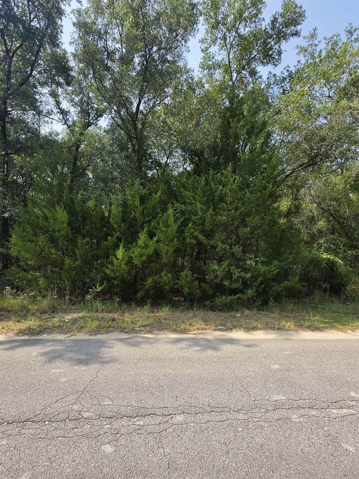 Property Photo: Duval Avenue FL 32148