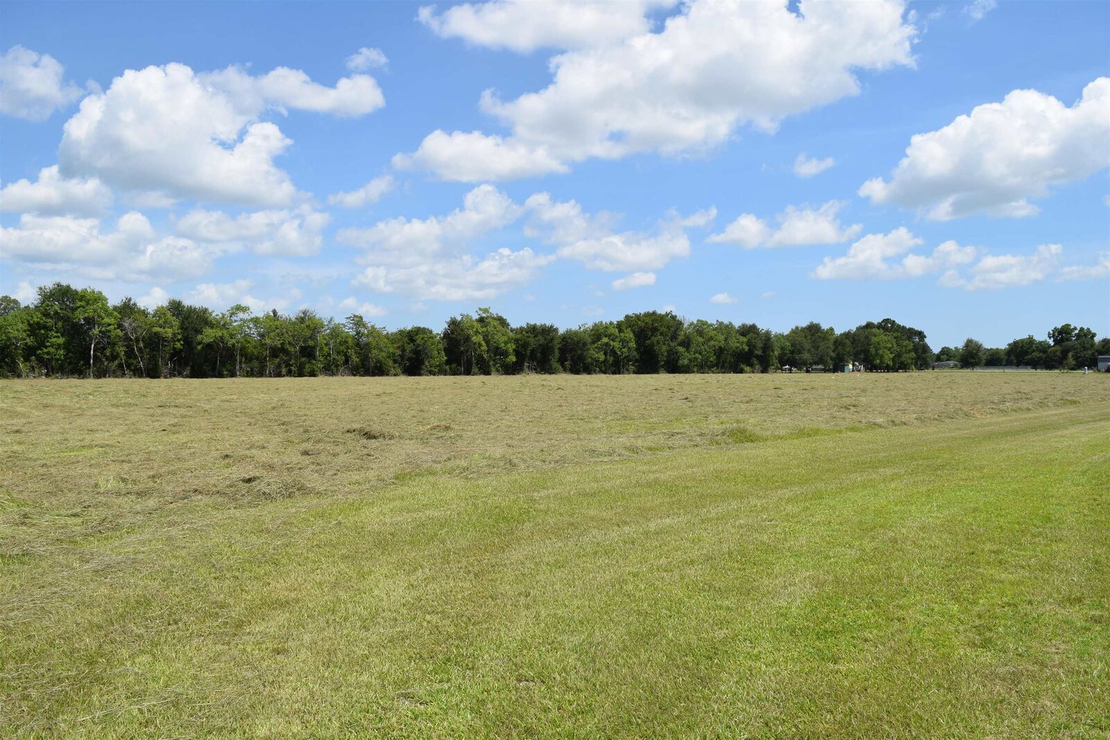 Property Photo:  0000 Rollins Rd  TX 77665 