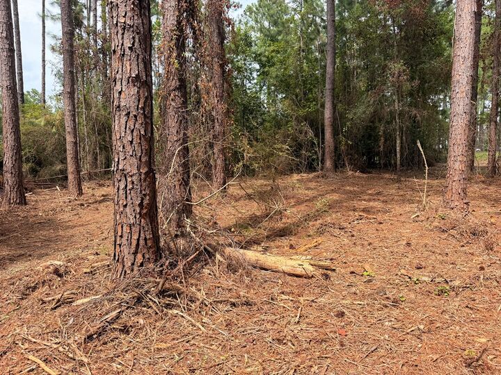 Property Photo:  115 Northlake Drive  GA 31791 