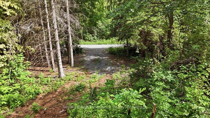 Property Photo:  00 Otter Creek Road  ON K0K 3J0 