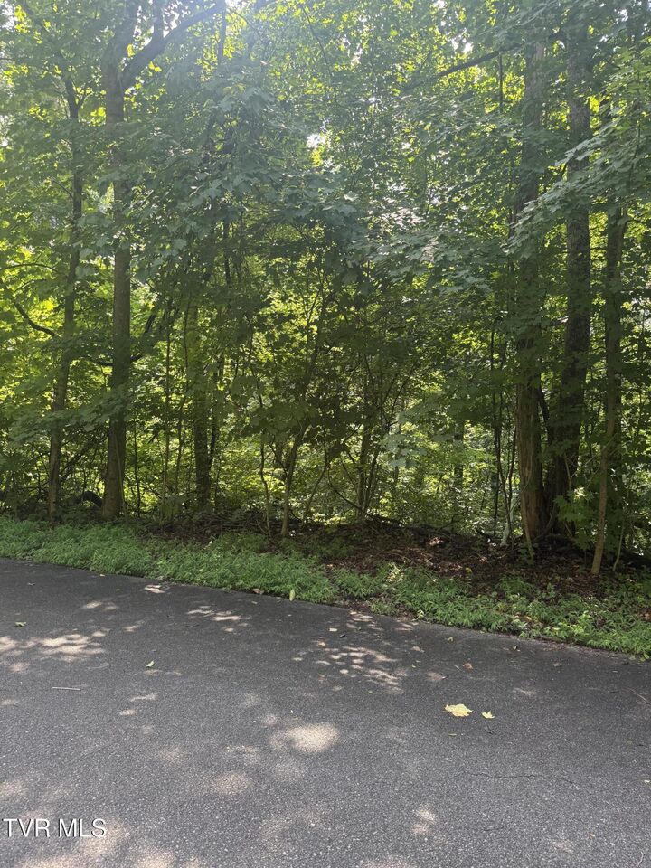 Property Photo:  2208 Nantucket Drive  TN 37604 