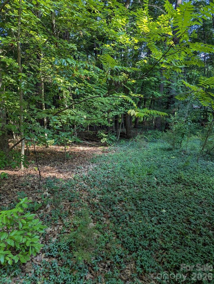 Property Photo: 5165 Ches Lane NC 27284