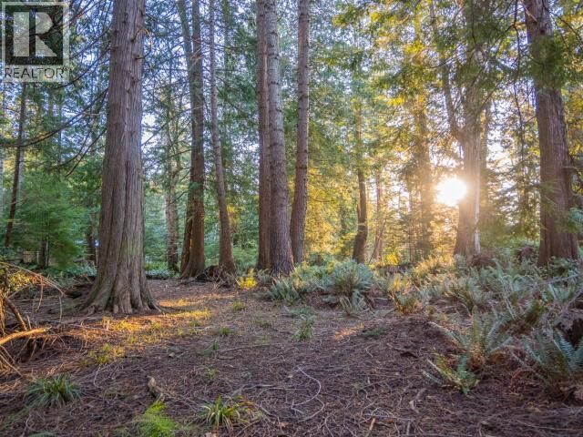 Property Photo:  1136 Herchmer Road  BC V8A 0G7 