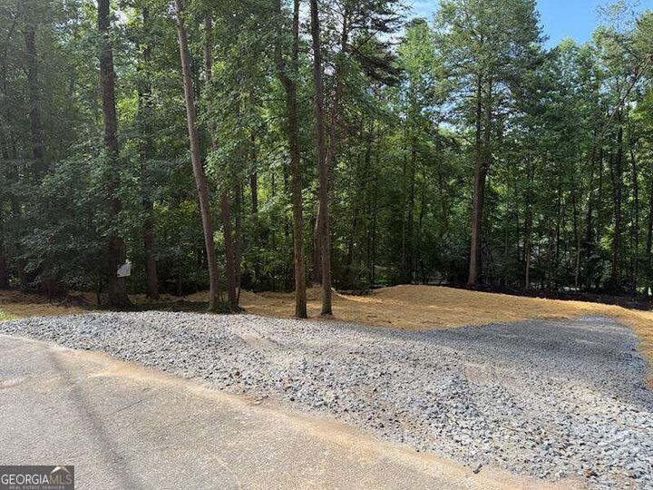 Property Photo:  Lot 195 Shenendoa Drive 195  GA 30540 