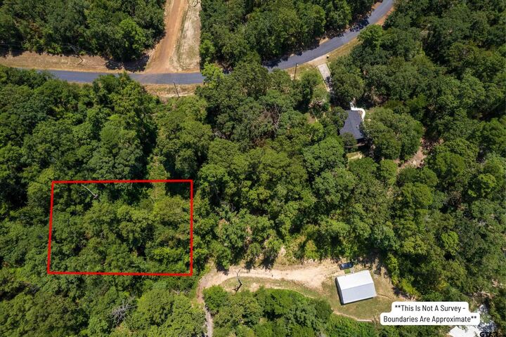 Property Photo:  Lot 27 S. Park Rd.  TX 75480 