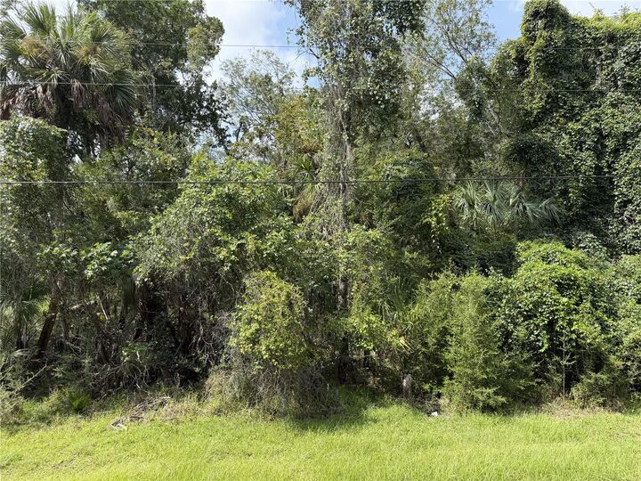 Property Photo: 10991 W London Lane FL 34448