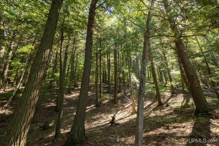 Property Photo: 580 Pentoga Trail MI 49920