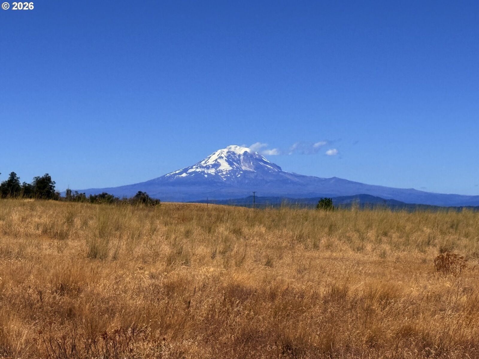 Property Photo:  Erickson Rd 32  WA 98613 