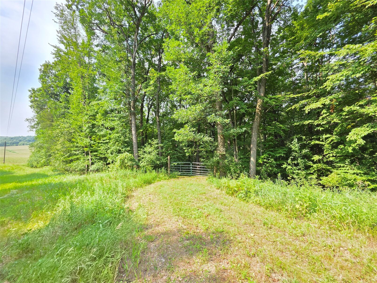 Property Photo: Lot 0 County Rd W WI 54730