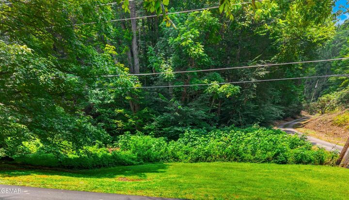 Property Photo: Lot 10 Maple Hill Way TN 37738