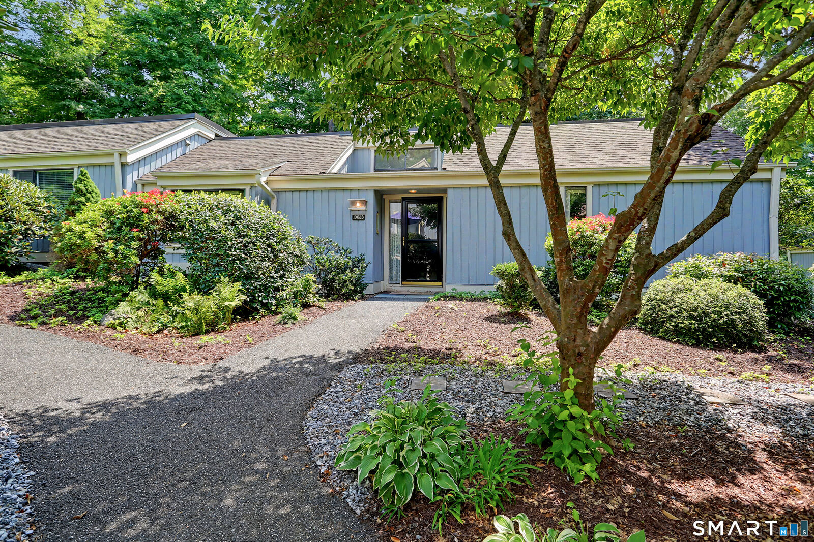 Property Photo:  1003 Heritage Village B  CT 06488 