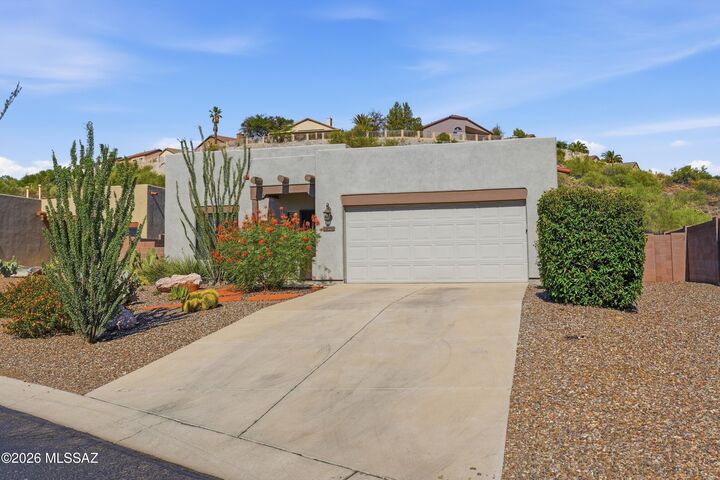 Property Photo:  39955 S Horse Run Drive  AZ 85739 