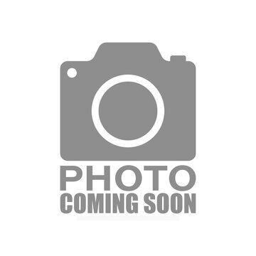 Property Photo:  33 Jarvis Street 13  ON N3T 4A7 